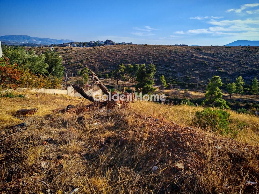 Οικόπεδο στην Δασαμάρι, Πικέρμι — Φωτογραφία 1 από 2