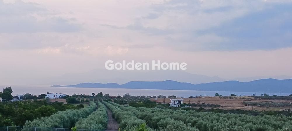 Μονοκατοικία στην Αρχαία Κόρινθος, Κόρινθος — Φωτογραφία 1 από 22