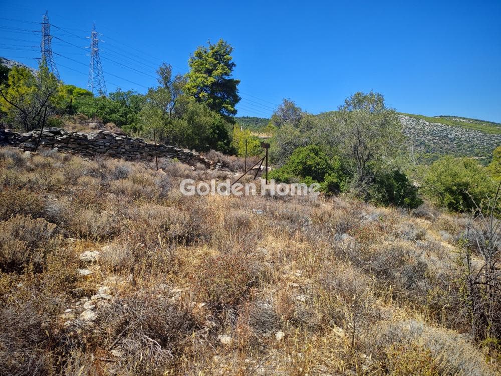 Αγροτεμάχιο στην Μουσείο Βορρέ, Παιανία — Φωτογραφία 1 από 2
