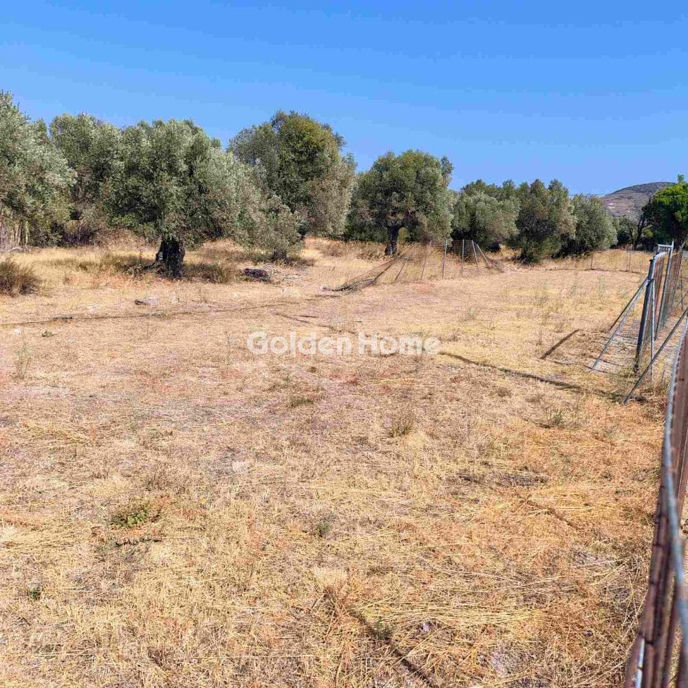 Building Plot in Venio Daskaleiou, Keratea — Photo 2 of 3