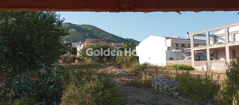 Μονοκατοικία στην Κρήνη, Μεσσατίδα — Φωτογραφία 14 από 19