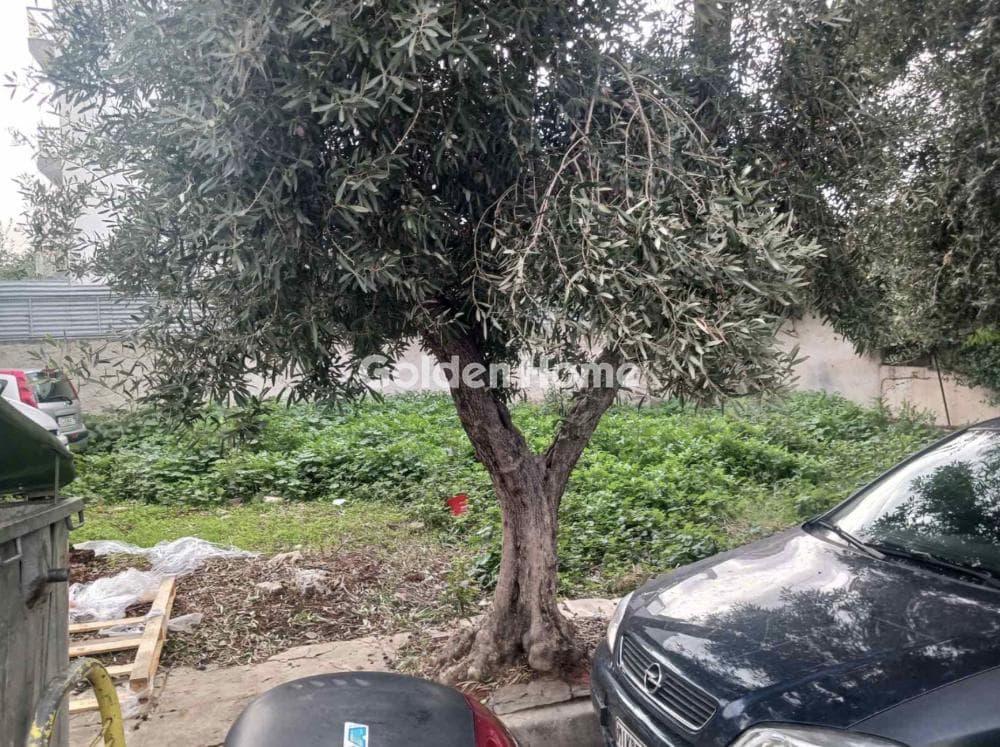Οικόπεδο στην Τσαλαβούτα, Κολωνός - Κολοκυνθούς — Φωτογραφία 3 από 5