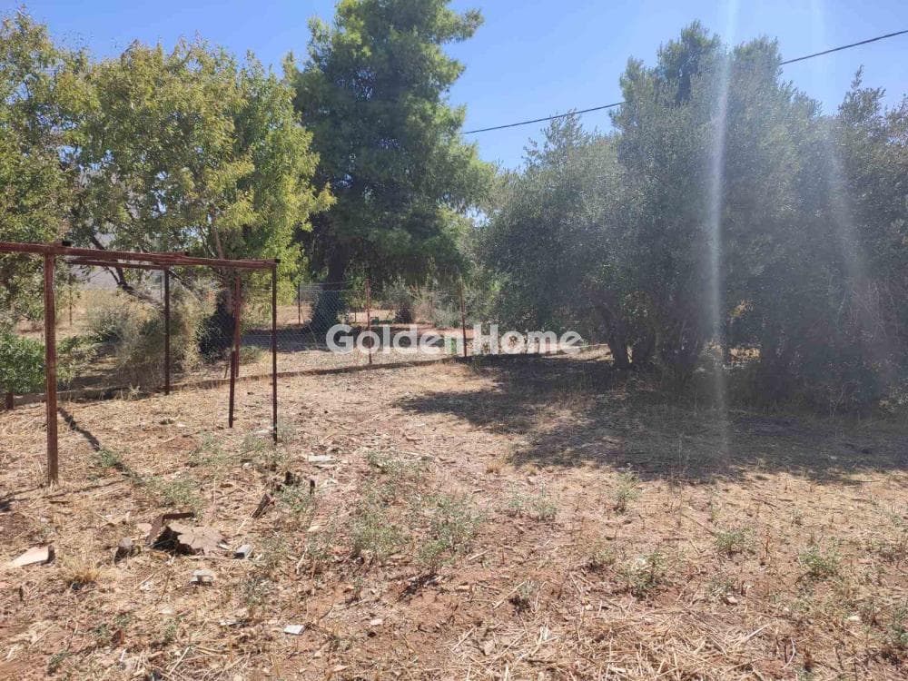 Οικόπεδο στην Αγία Μαρίνα, Παιανία — Φωτογραφία 1 από 7