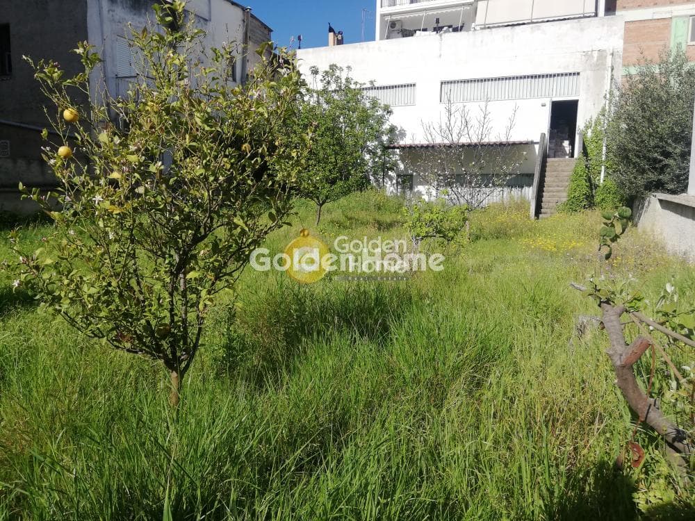 Κατάστημα στην Ζεφύρι, Ζεφύρι — Φωτογραφία 8 από 9