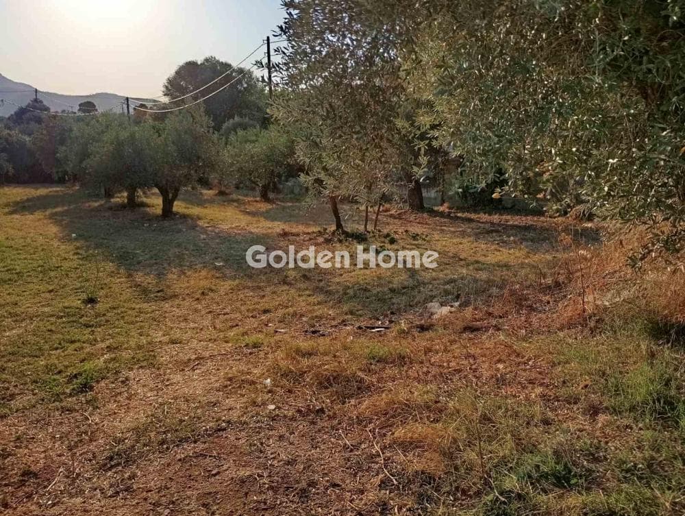 Οικόπεδο στην Άγιος Σεραφείμ, Αρτέμιδα (Λούτσα) — Φωτογραφία 1 από 2