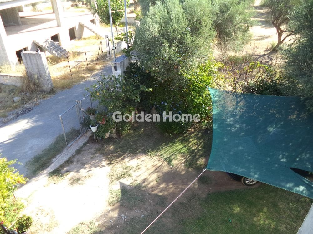 Μονοκατοικία στην Λόγγος, Ερίνεο — Φωτογραφία 14 από 19