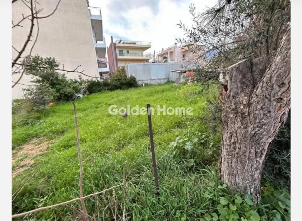 Building Plot in Megala Sxoinia A, Acharnes — Photo 3 of 3