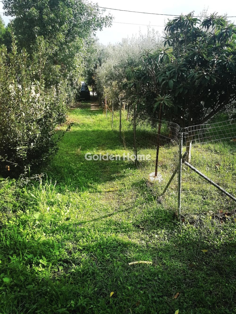 House in Kallithea, Penteli — Photo 16 of 16