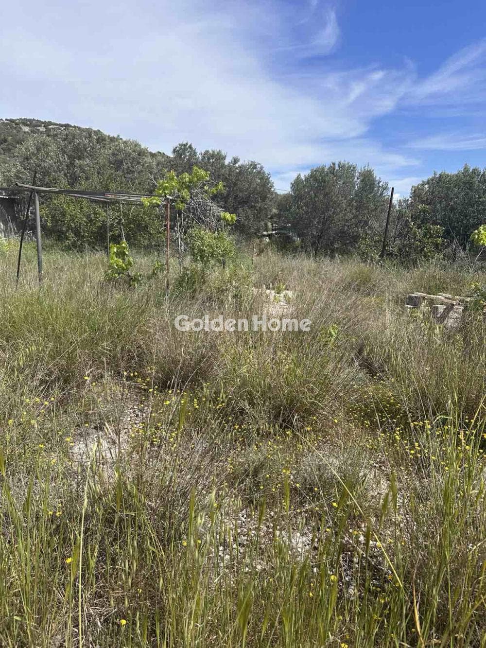 Αγροτεμάχιο στην Σκάρπιζα, Βάρη - Βάρκιζα — Φωτογραφία 1 από 4