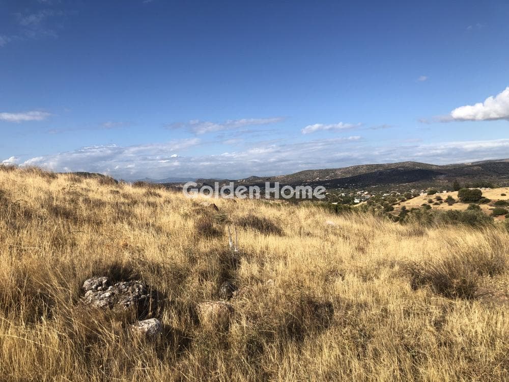 Building Plot in Agia Marina, Koropi — Photo 5 of 6
