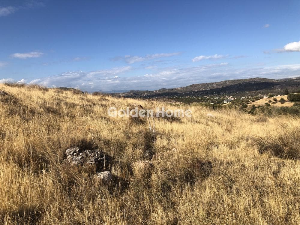 Building Plot in Agia Marina, Koropi — Photo 6 of 6