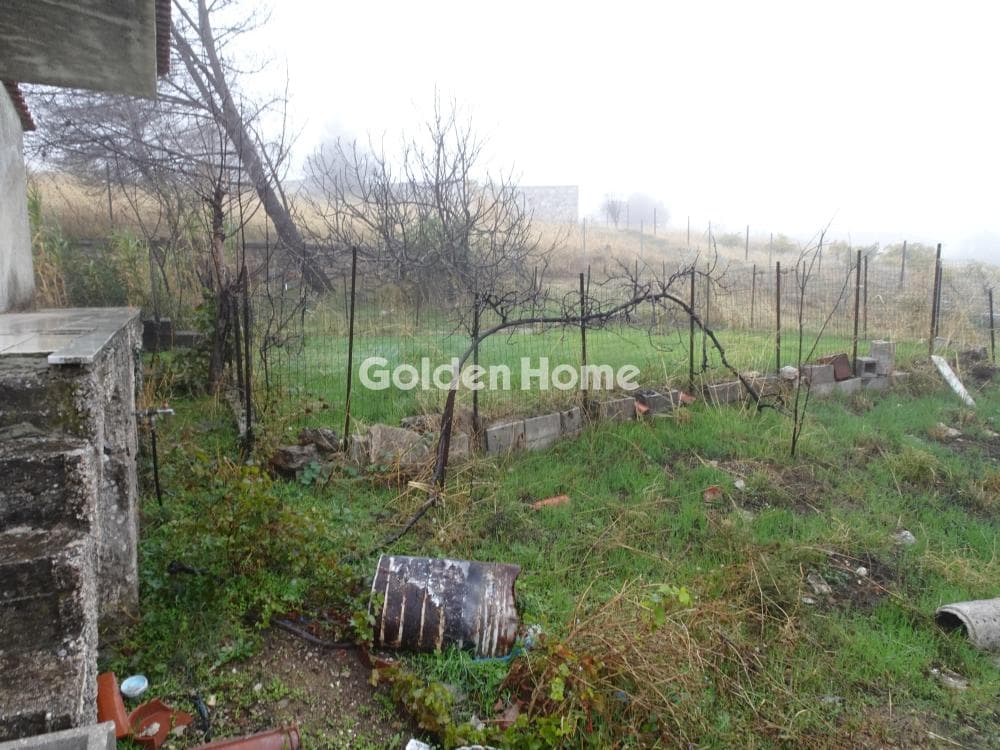 House in Center, Com. Kapandriti — Photo 6 of 6