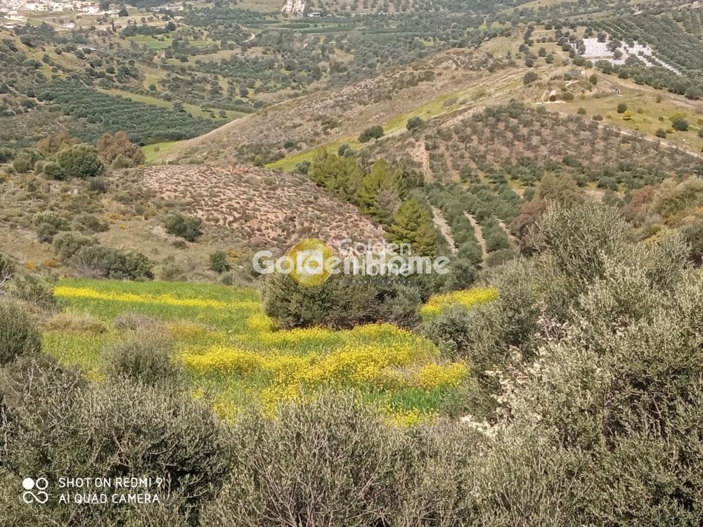 Building Plot in Kouses, Moires — Photo 2 of 7