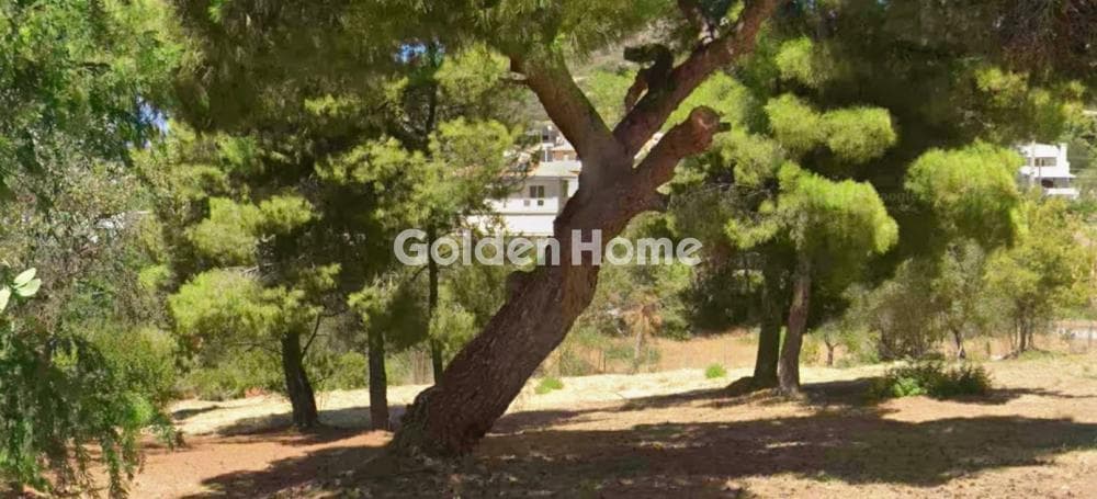 Οικόπεδο στην ΑΤΕ, Ανάβυσσος — Φωτογραφία 10 από 15