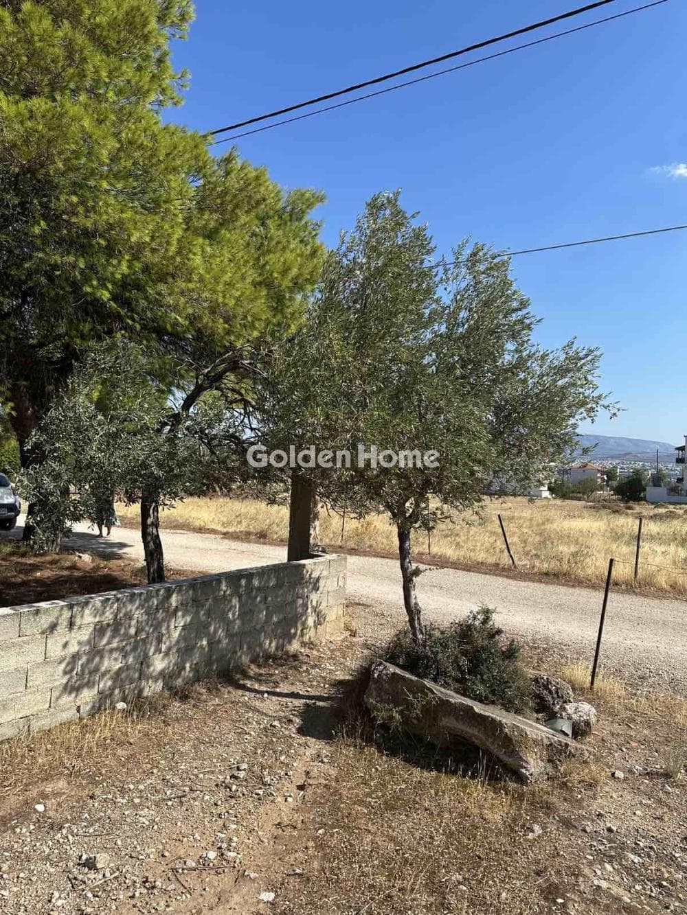 Parcel in Megala Sxoinia A, Acharnes — Photo 4 of 4