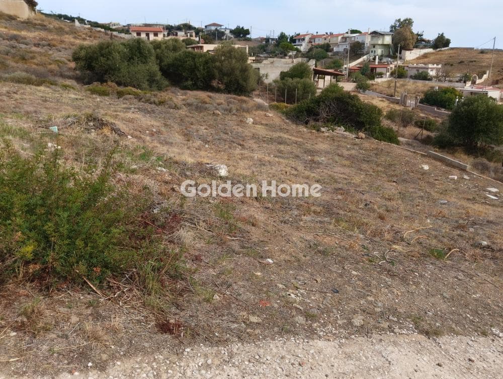 Αγροτεμάχιο στην Πεύκα, Κερατέα — Φωτογραφία 1 από 4