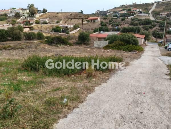 Αγροτεμάχιο στην Πεύκα, Κερατέα — Φωτογραφία 2 από 4