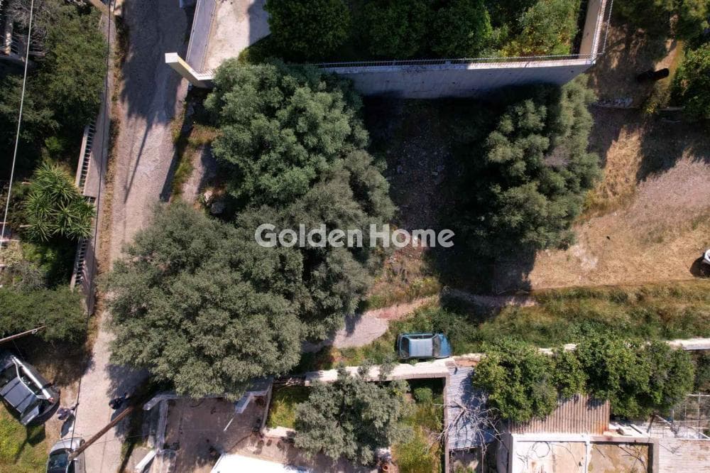 Building Plot in Giala, Salamina — Photo 5 of 6