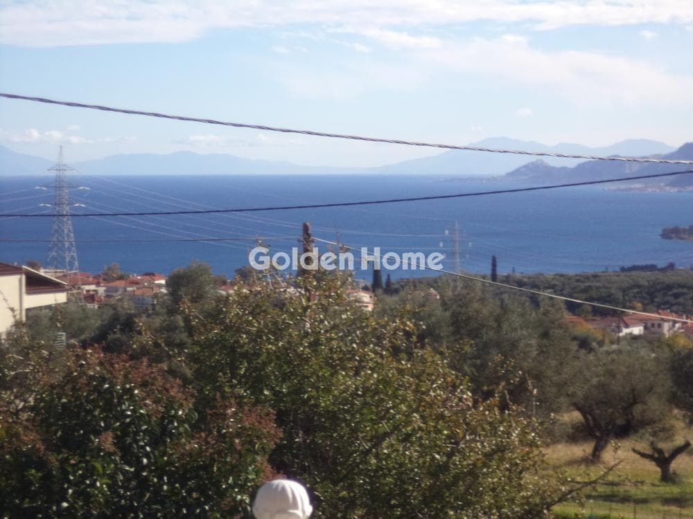 Μονοκατοικία στην Συλιβαινιώτικα, Ακράτα — Φωτογραφία 12 από 20