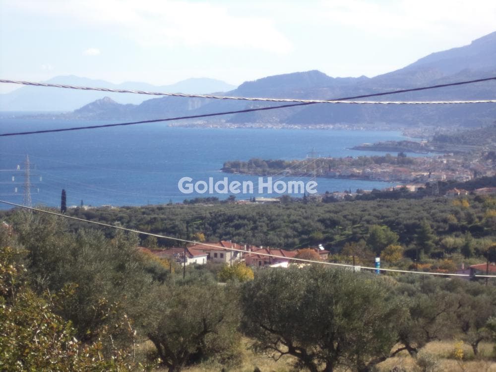 Μονοκατοικία στην Συλιβαινιώτικα, Ακράτα — Φωτογραφία 1 από 20