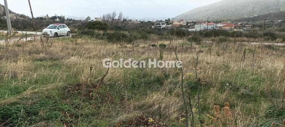 Parcel in Kalivia, Kalivia Thorikou — Photo 8 of 14