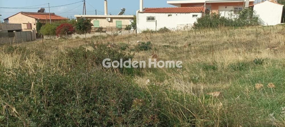 Parcel in Kalivia, Kalivia Thorikou — Photo 10 of 14