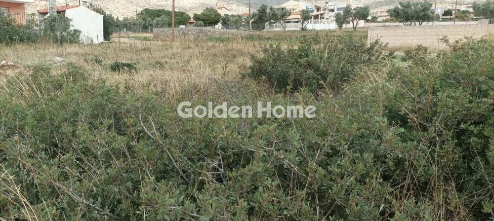 Parcel in Kalivia, Kalivia Thorikou — Photo 14 of 14