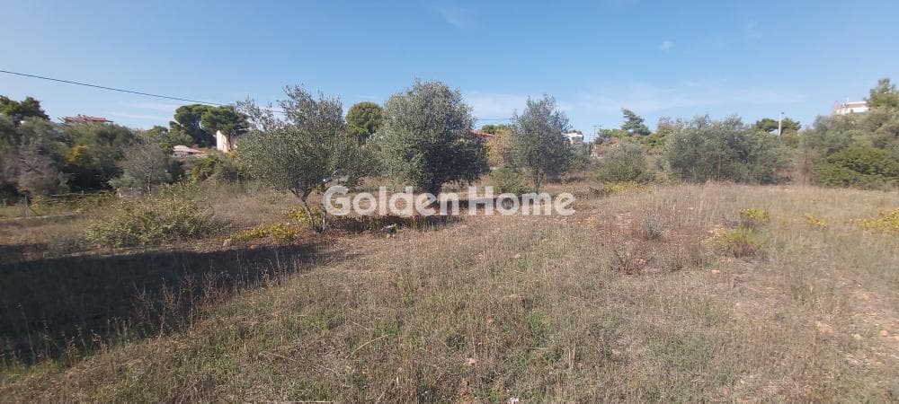 Οικόπεδο στην Άγιος Σεραφείμ, Αρτέμιδα (Λούτσα) — Φωτογραφία 6 από 6