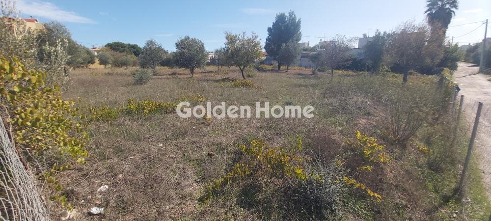 Οικόπεδο στην Άγιος Σεραφείμ, Αρτέμιδα (Λούτσα) — Φωτογραφία 4 από 6