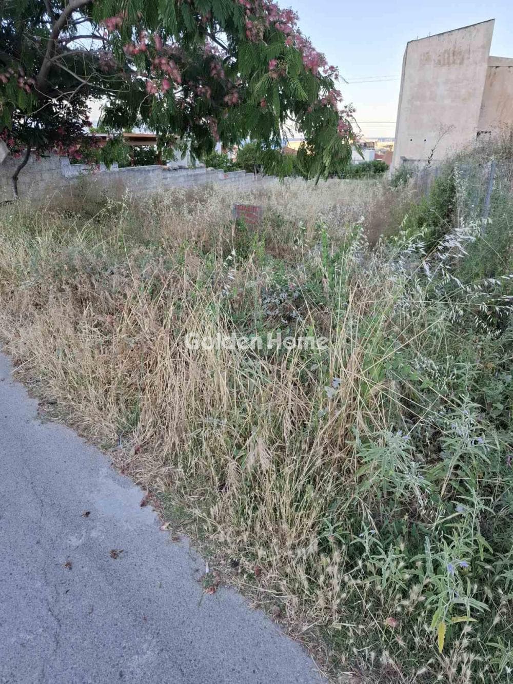 Οικόπεδο στην Βορινέζα, Αρτέμιδα (Λούτσα) — Φωτογραφία 1 από 5