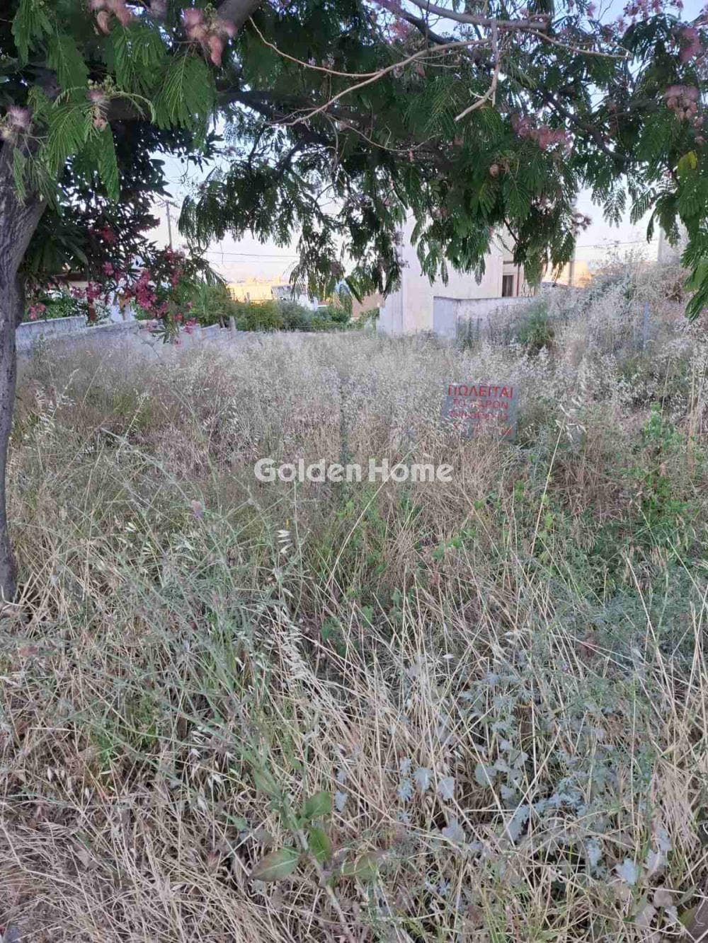 Οικόπεδο στην Βορινέζα, Αρτέμιδα (Λούτσα) — Φωτογραφία 5 από 5