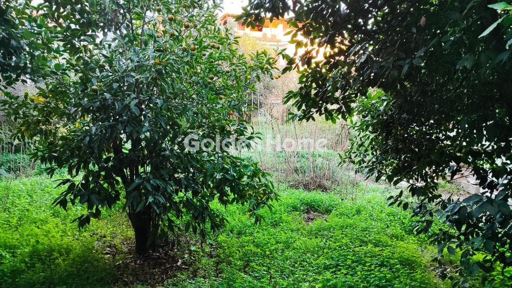 Building Plot in Ano Mpalana, Pallini — Photo 2 of 11