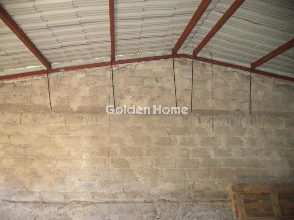 House in Rizomilos, Diakopto — Photo 7 of 14