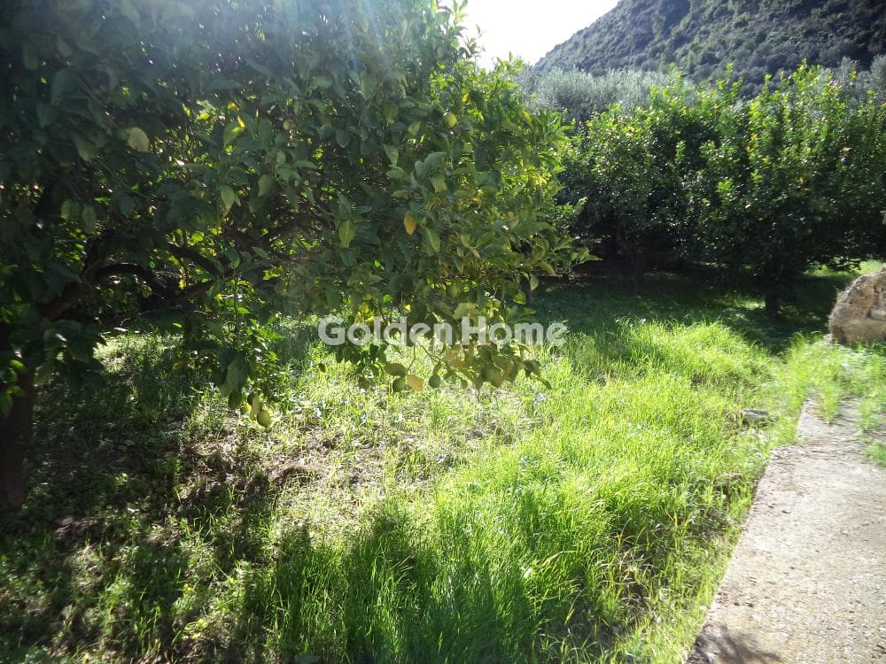 House in Rizomilos, Diakopto — Photo 8 of 14