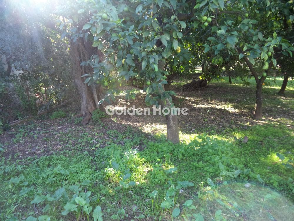 House in Rizomilos, Diakopto — Photo 12 of 14