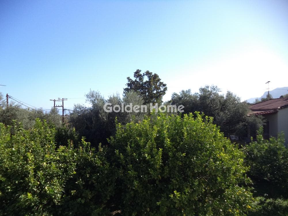 House in Rizomilos, Diakopto — Photo 14 of 14