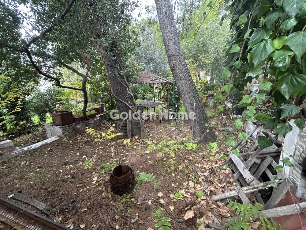 House in Agia Paraksevi, Anoixi — Photo 1 of 8