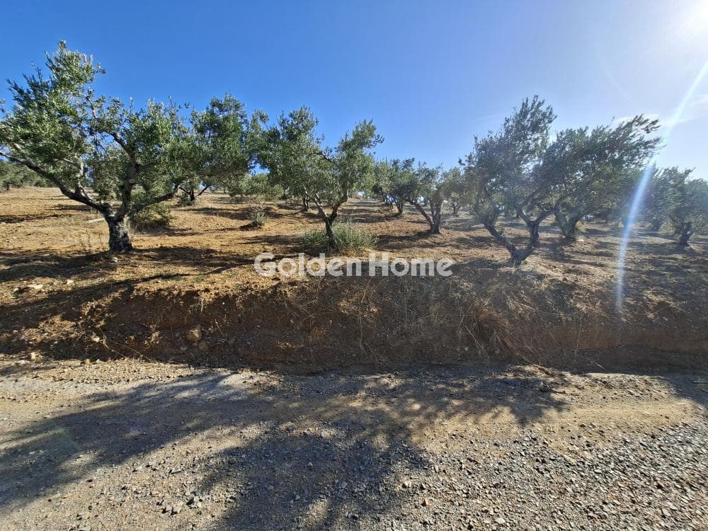 Building Plot in Garipa, Arkalochori — Photo 26 of 31