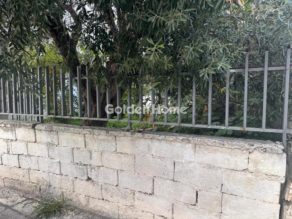 Οικόπεδο στην Ζεφύρι, Ζεφύρι — Φωτογραφία 8 από 9
