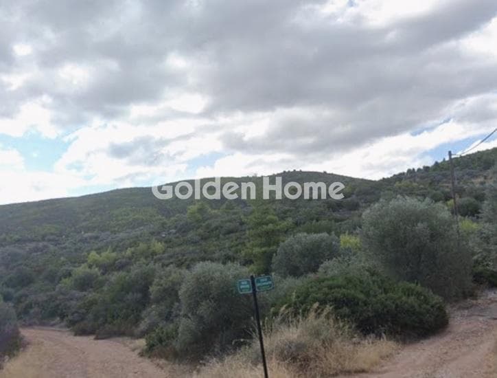 Αγροτεμάχιο στην Γραμματικό - Κέντρο, Γραμματικό — Φωτογραφία 1 από 2