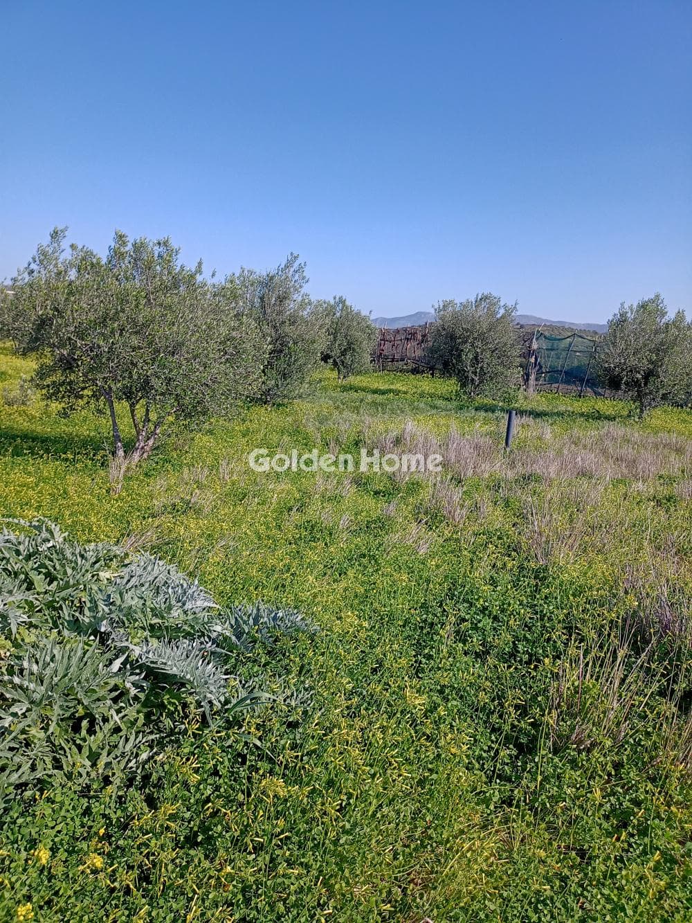 Αγροτεμάχιο στην Κόκκινος Πύργος, Τυμπάκι — Φωτογραφία 1 από 2
