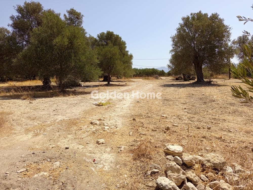 Αγροτεμάχιο στην Κόκκινος Πύργος, Τυμπάκι — Φωτογραφία 1 από 2