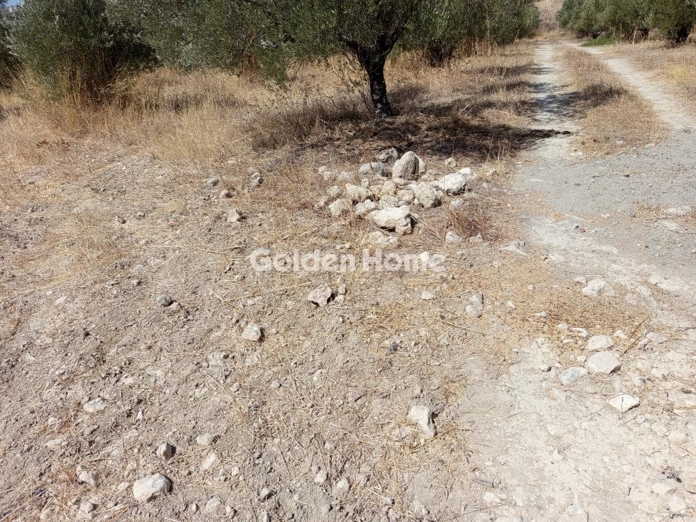 Αγροτεμάχιο στην Κόκκινος Πύργος, Τυμπάκι — Φωτογραφία 2 από 2