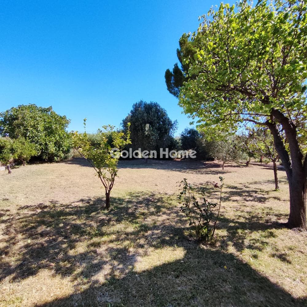 Μονοκατοικία στην Νικολαίικα, Διακοπτό — Φωτογραφία 38 από 44