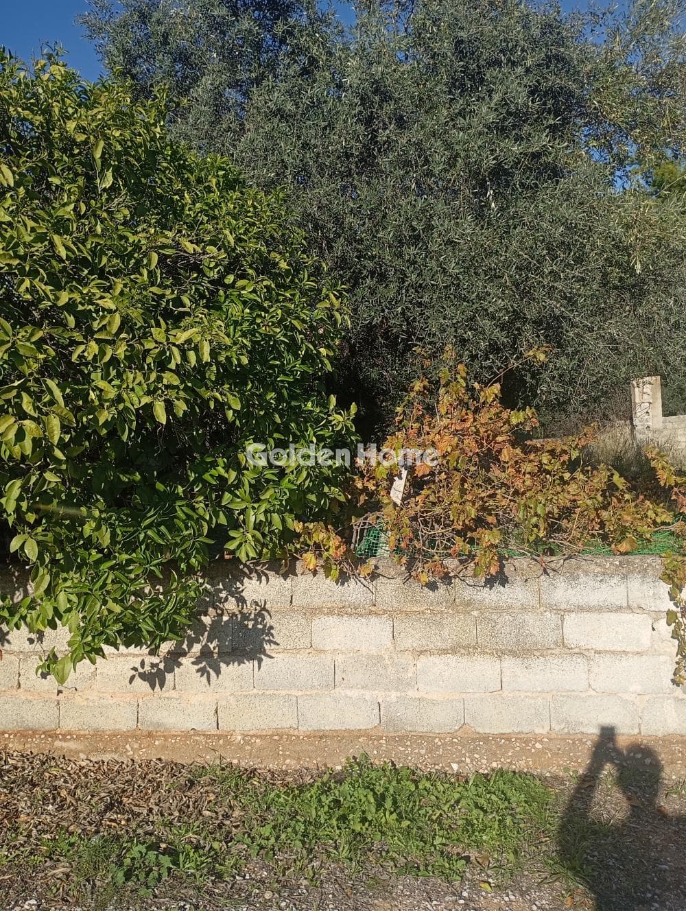 Building Plot in Neapoli, Spata — Photo 1 of 7