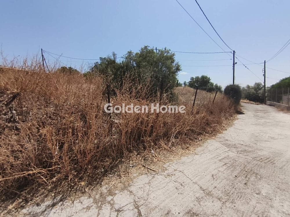 Parcel in Megalo Ntoroto, Salamina — Photo 5 of 10