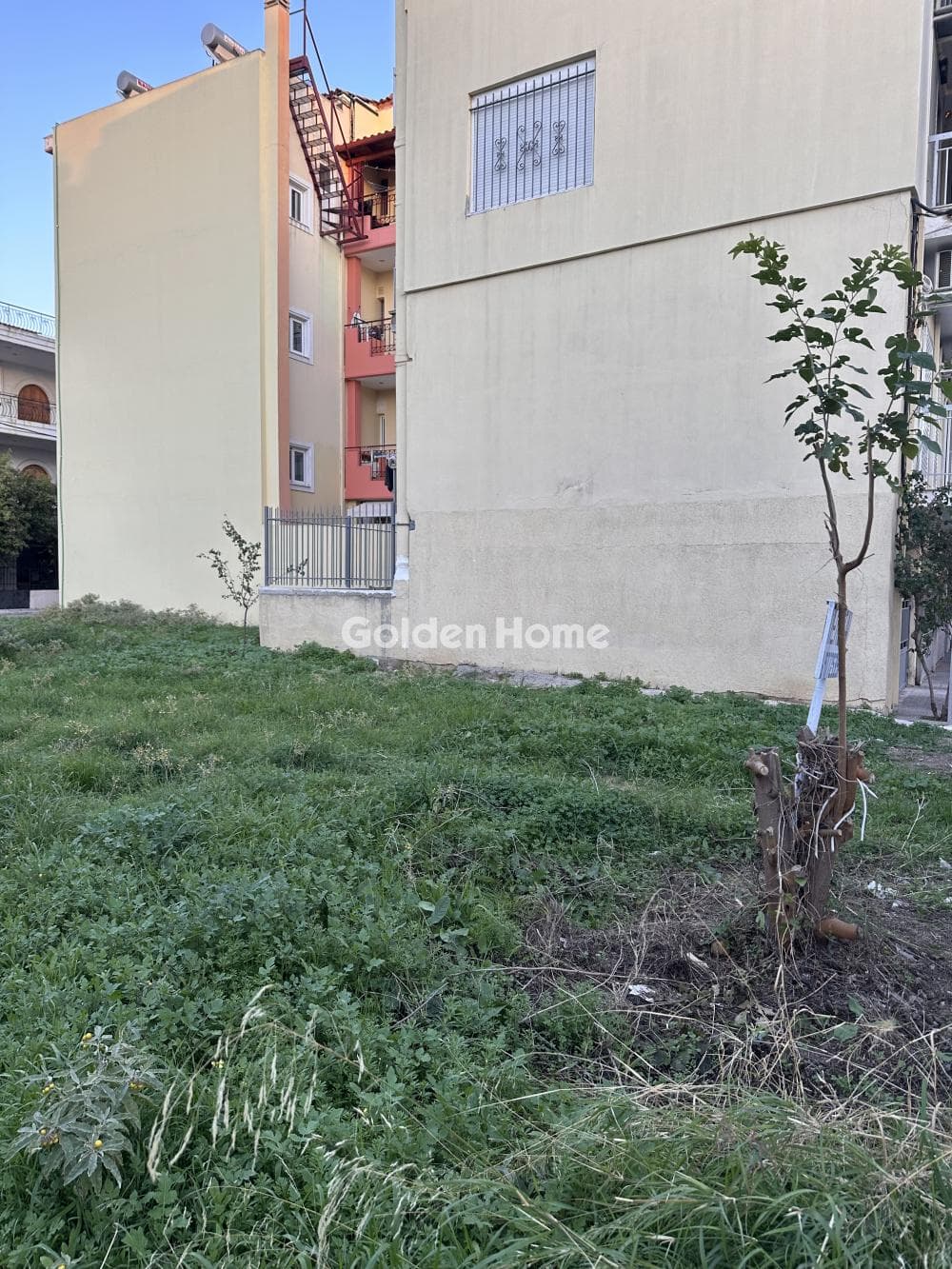Building Plot in Agia Anna, Zefiri — Photo 2 of 3