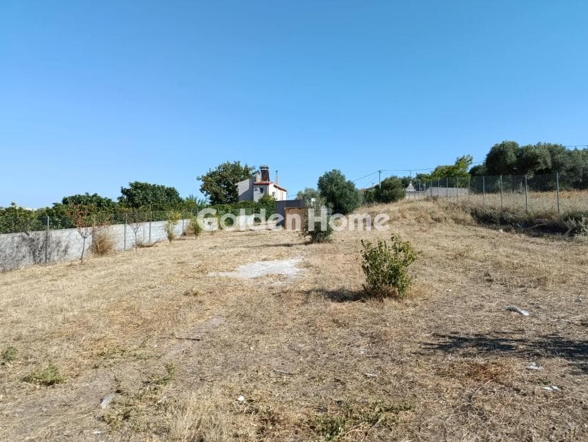 Parcel in Neapoli, Spata — Photo 2 of 6