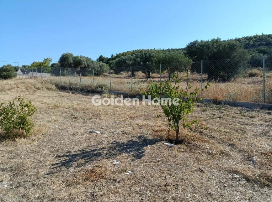 Parcel in Neapoli, Spata — Photo 6 of 6