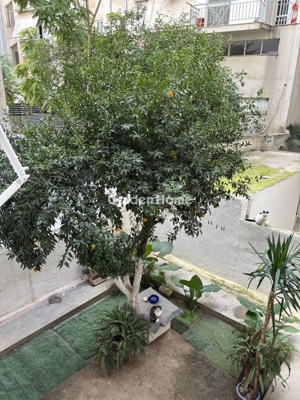 Apartment in Klonaridou, Agios Eleftherios - Probona - Rizoupoli — Photo 12 of 18
